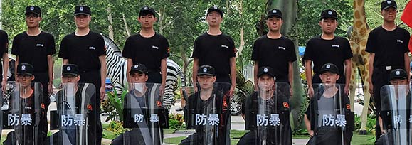 行业动态